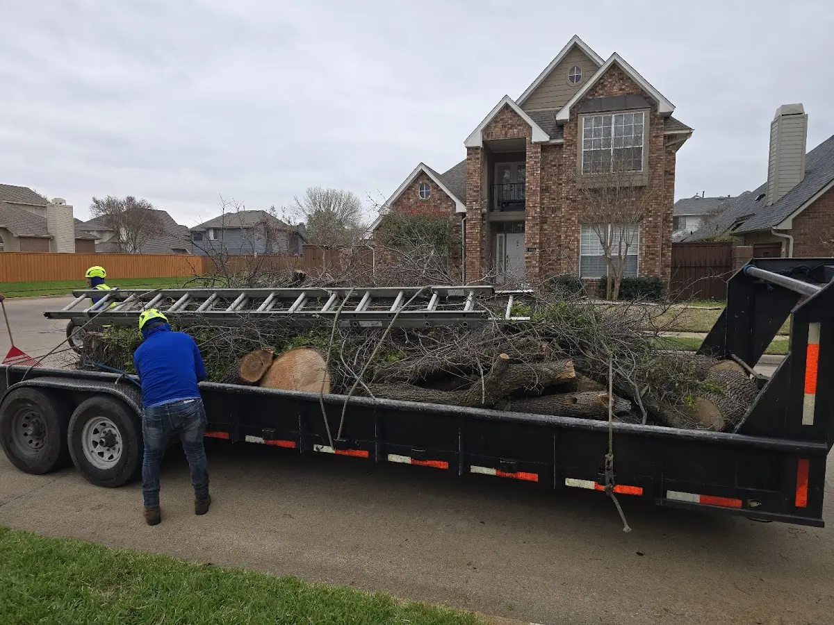 Expert Tree Pest Control with proper safety equipment in Douglassville